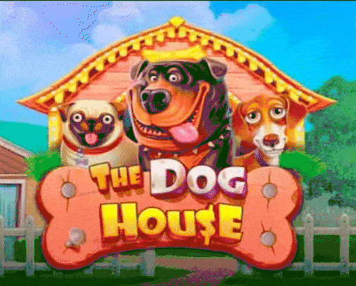 play The Dog House in luckygem casino